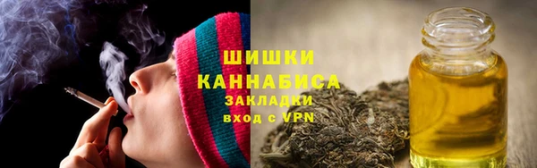 эйфоретик Арсеньев
