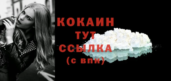 эйфоретик Арсеньев