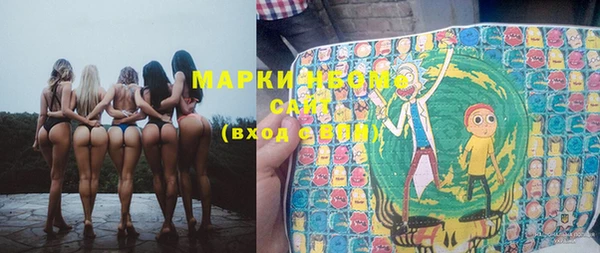ГАЛЛЮЦИНОГЕННЫЕ ГРИБЫ Аркадак